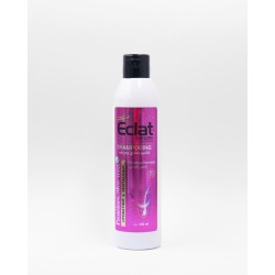 Shampooing Eclat cheveux normaux à l’Aloe Vera & Protéines 250ml